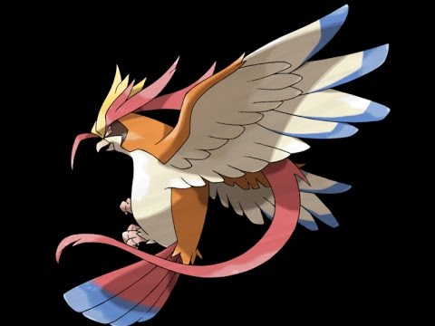 【ポケモンORAS】ガチマイナーパでレート2000へ【メガピジョット】