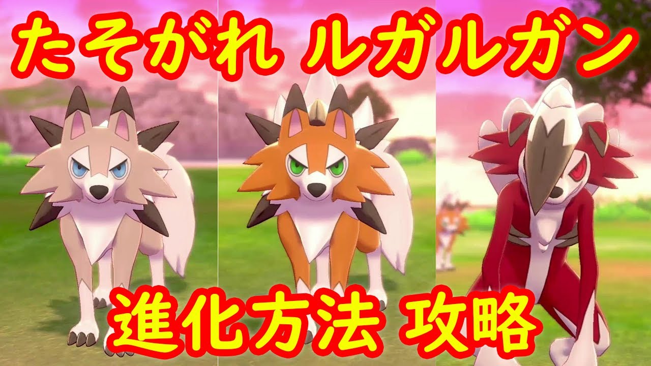 【たそがれ ルガルガン】進化方法 攻略【鎧の孤島 ポケモン剣盾DLC】