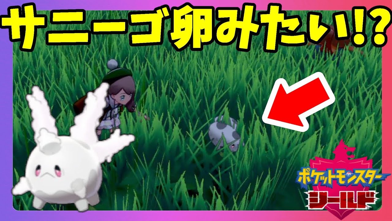 【ポケモンソードシールド】ガラルサニーゴって卵みたい！？シールド限定ポケモン