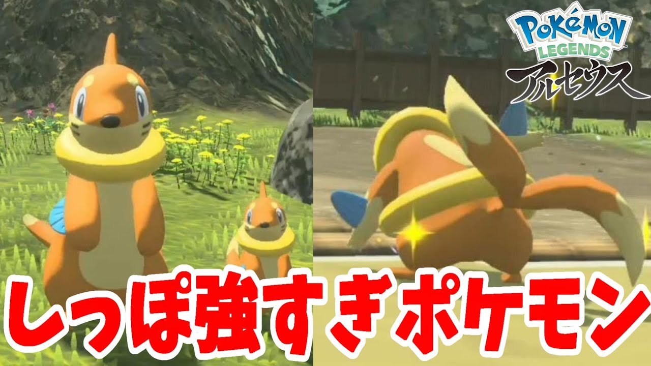 かわいいだけじゃない！ブイゼルとフローゼルのタイマン勝負【ポケモンレジェンズアルセウス】