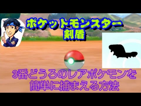 【ポケモン剣盾】3番どうろでレアポケモンの出現率を上げる方法