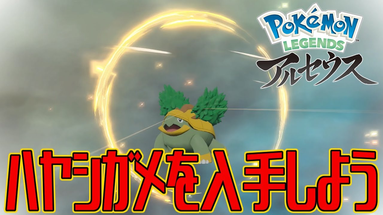 【ポケモンアルセウス】ハヤシガメを入手しよう【Pokémon LEGENDS アルセウス】