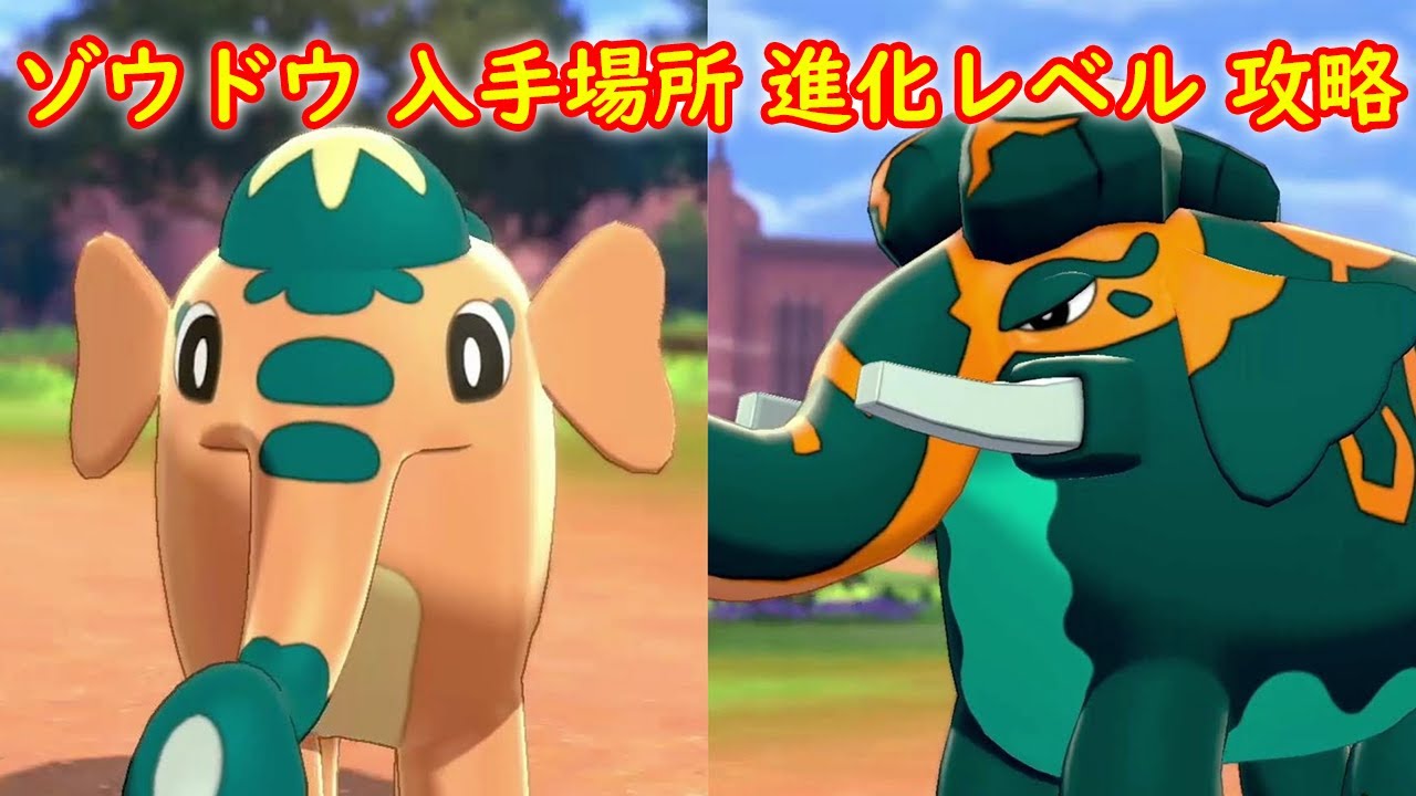 【ゾウドウ → ダイオウドウ】出現場所 進化レベル 攻略 + キャンプで遊ぶ【ポケモン ソード シールド ポケモン剣盾】