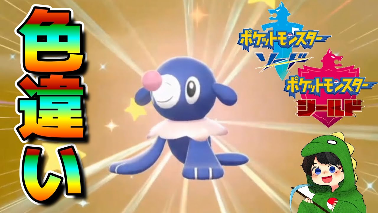 約1ヶ月ぶりに剣盾で色違いアシマリが誕生!!【ポケモン剣盾】🦕