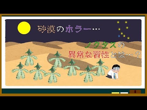 【ポケモン解説】よくわかる「人喰いサボテン」講座