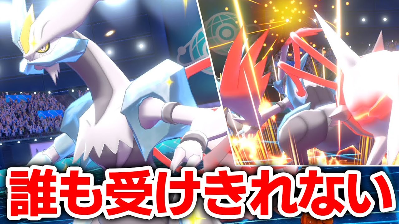 伝説ポケモンNo.1の特殊攻撃力『ホワイトキュレム』を暴走させる禁忌ノ戦法。【ポケモン剣盾】