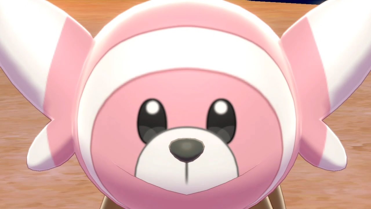 いきなりヌイコグマ