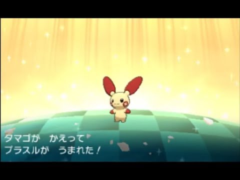 色違いプラスルが産まれたのに画質が悪いせいかと思いスルー