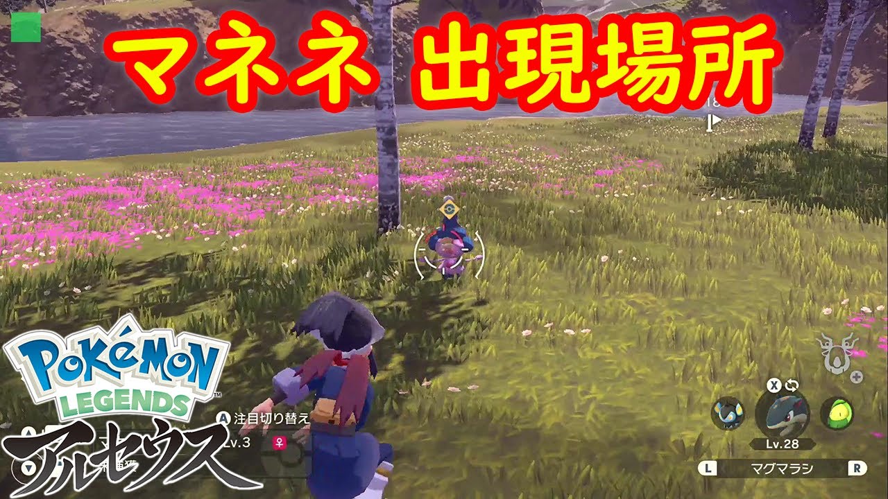 【マネネ】出現場所 入手方法 攻略  【Pokémon LEGENDS アルセウス ポケモン レジェンズ アルセウス】