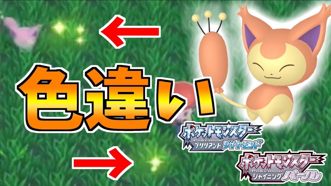 【ポケモンBDSP】ポケトレで色違い厳選中に起きた奇跡と悲劇　エネコ厳選