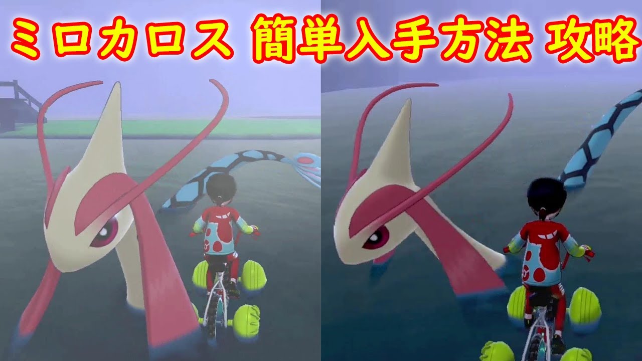 【ミロカロス】簡単入手方法 攻略【ポケモン ソード シールド ポケモン剣盾】