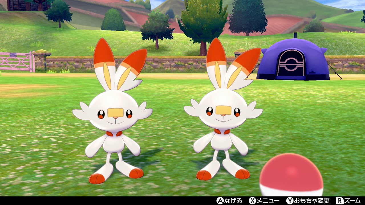 【ポケモンキャンプ】ヒバニーがかわいいだけの動画（図鑑説明有り）【ポケモン剣盾/ポケモンソードシールド】