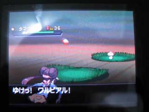 《ポケットモンスター ブラック２》捕り! さいせいりょく タマゲタケ♀!