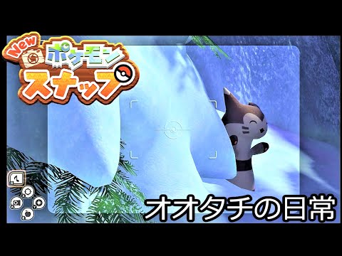 【可愛い】オオタチの日常【Newポケモンスナップ】