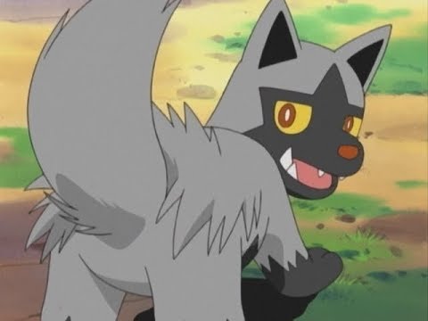 ポチエナゲットだぜ