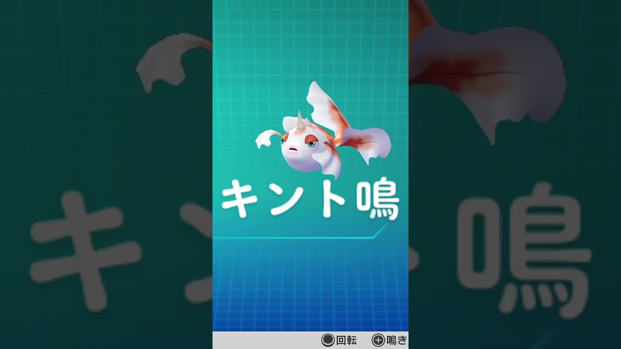 ピカブイ【図鑑NO118】トサキント鳴き声#ポケモン鳴き声 #図鑑コンプ #レッツゴーピカチュウ #レッツゴーイーブイ#ポケモン生態#トサキント動き#Goldeen