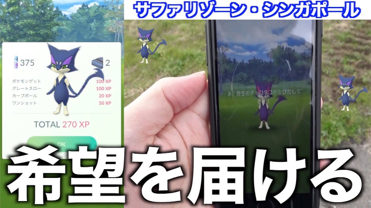 朝から色違いチョロネコ狙い！シンガポールでチョロチョロした結果【ポケモンGO】