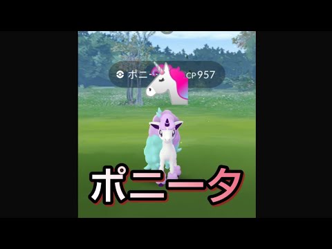 【ポケモンGO】今日から実装！ ガラル ポニータ ゲット！！#42