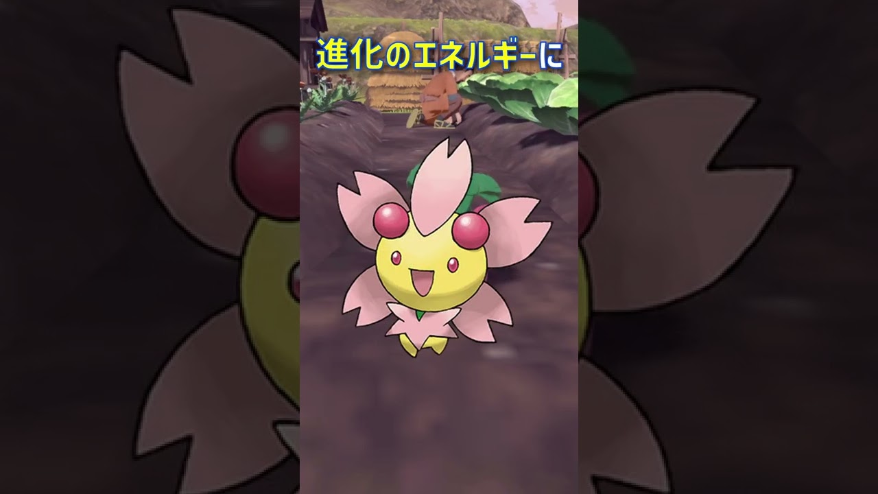 1分でわかるチェリンボの生態｜ポケモンレジェンズアルセウス、ダイパリメイク #Shorts