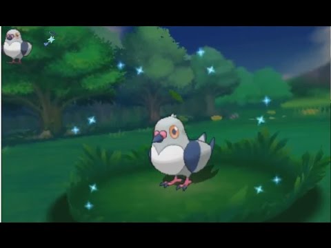 3DS【ポケモン ORAS】shiny Pidove 色違い マメパト 色違 豆豆鴿