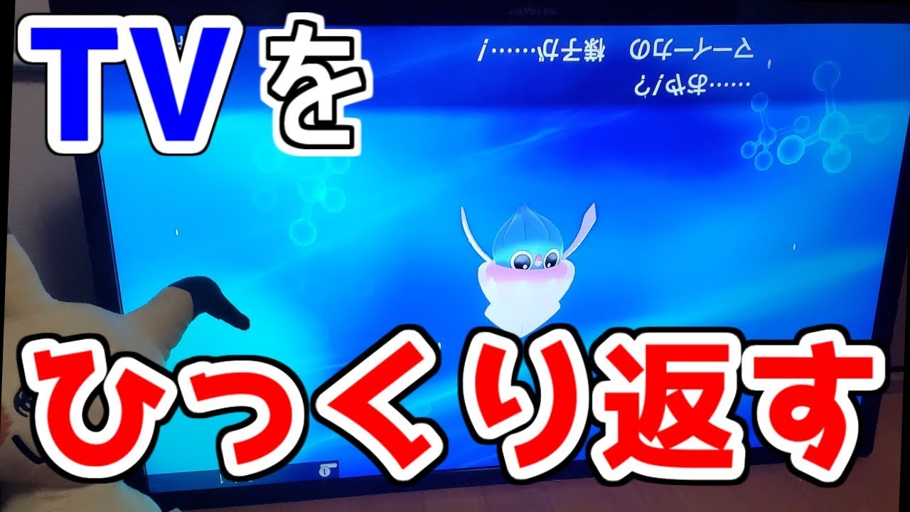 【良い子は絶対にマネしないでください】マーイーカの進化方法を全部試してみた【ポケモン剣盾】【ポケモンソードシールド】