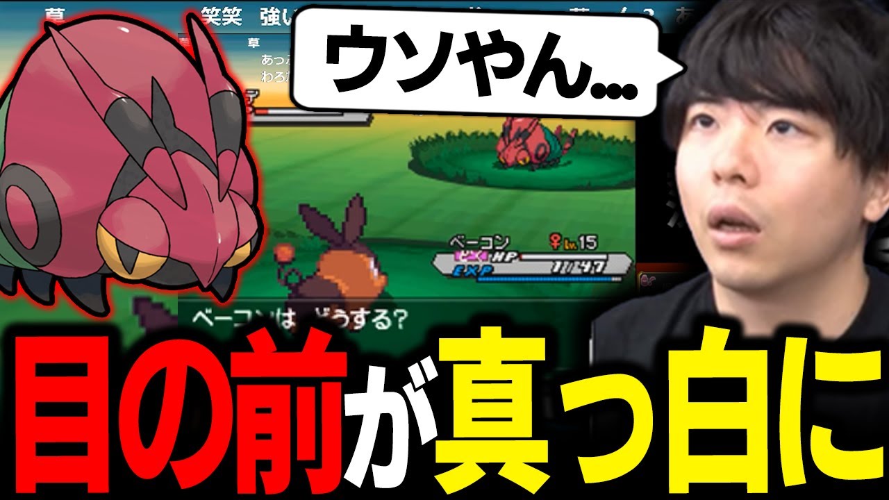 【もこう】「野生のフシデ」を捕まえようとしただけなのに...ｗｗｗ【ポケモン 切り抜き】