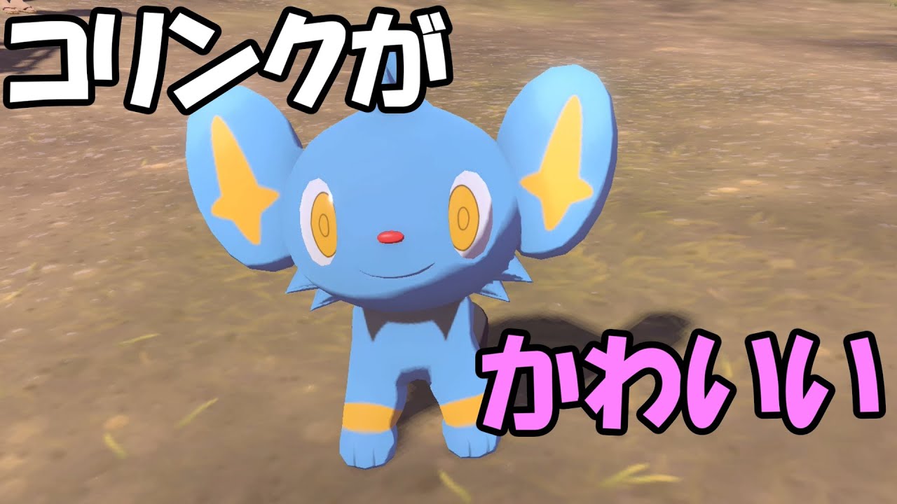 コリンクにひたすら萌える動画【ポケモンレジェンズアルセウス】