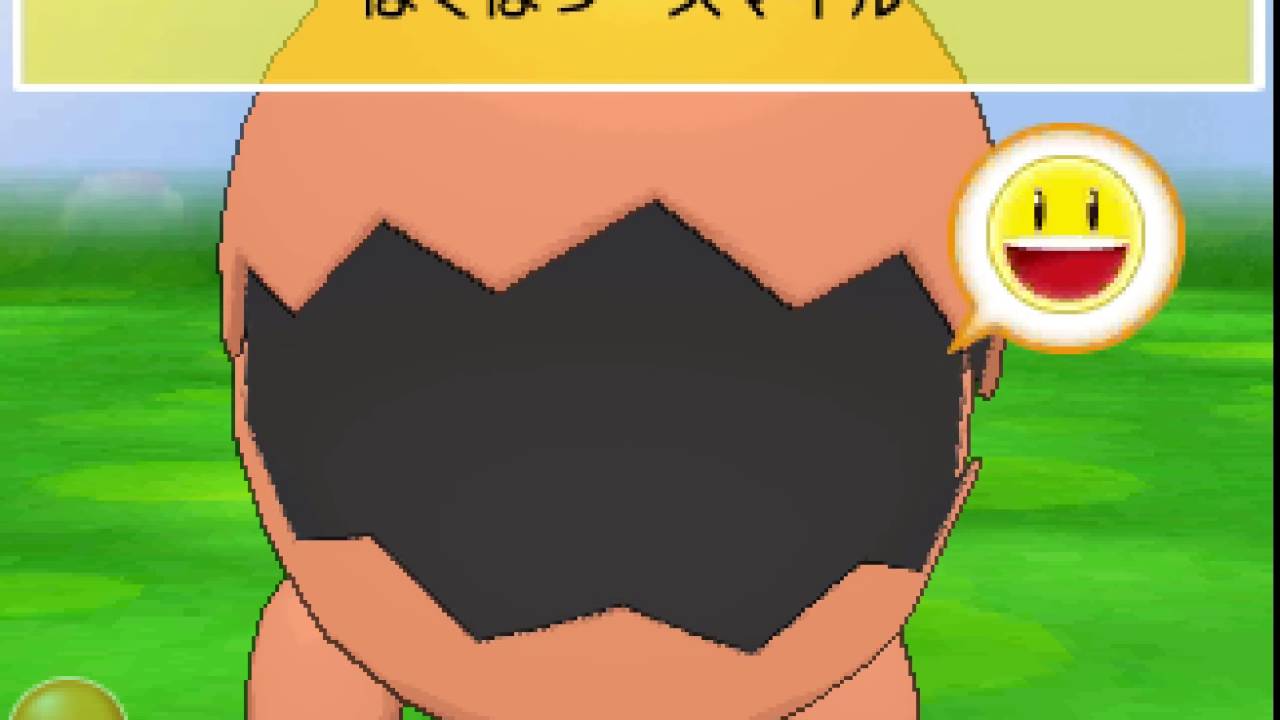 ポケパルレ　ナックラーと戯れるだけの動画