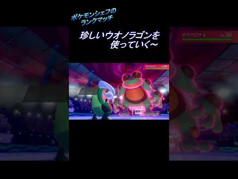 【ポケモン剣盾】珍しいウオノラゴンを使っていく～