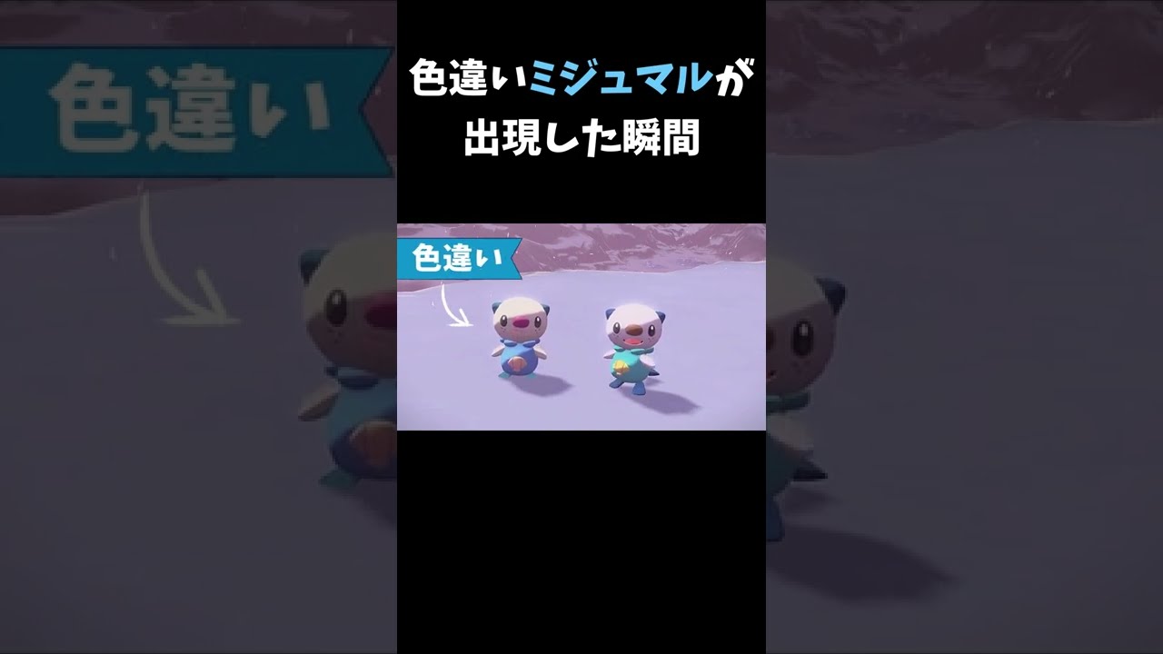 色違いミジュマルが 出現した瞬間【ポケモンアルセウス】#shorts