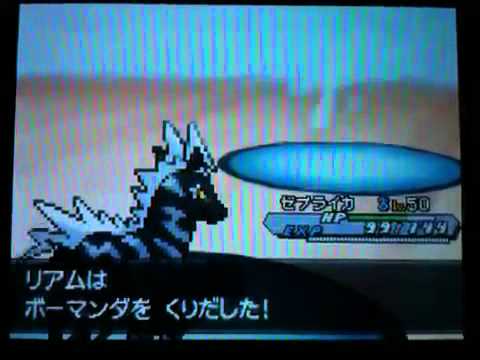 ニトチャゼブライカの可能性
