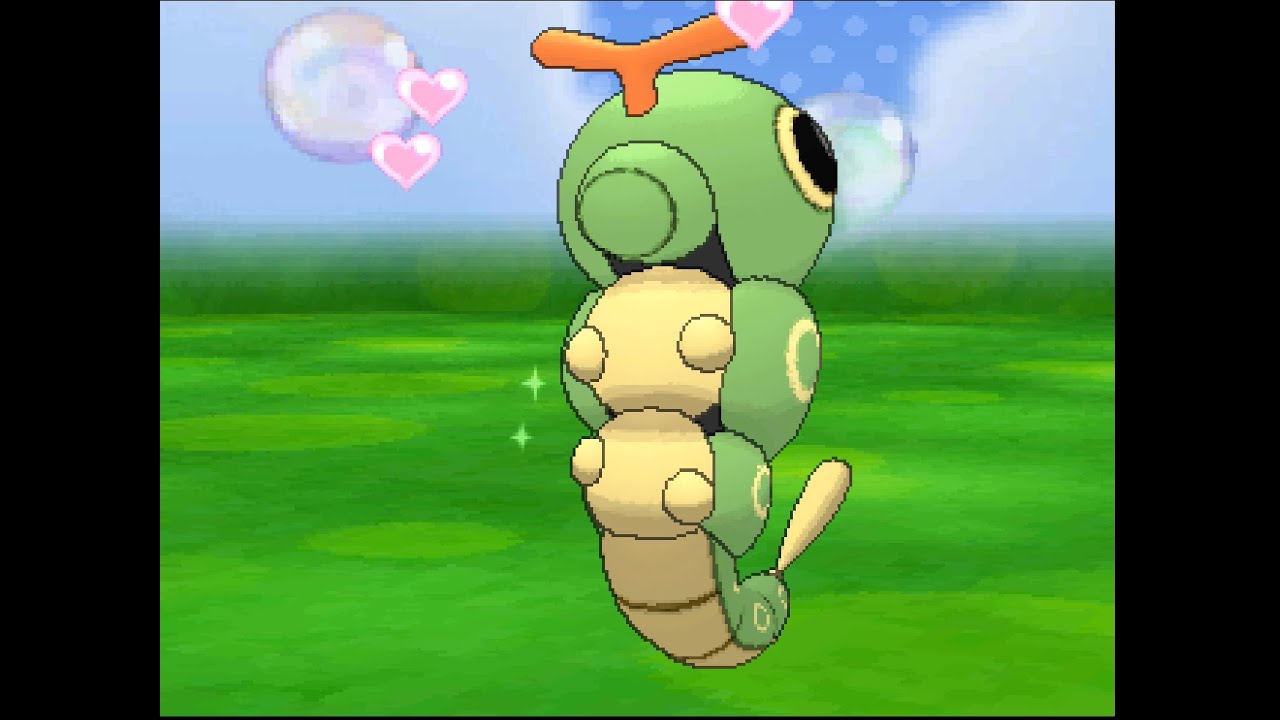 ポケパルレ　キャタピーと戯れるだけの動画