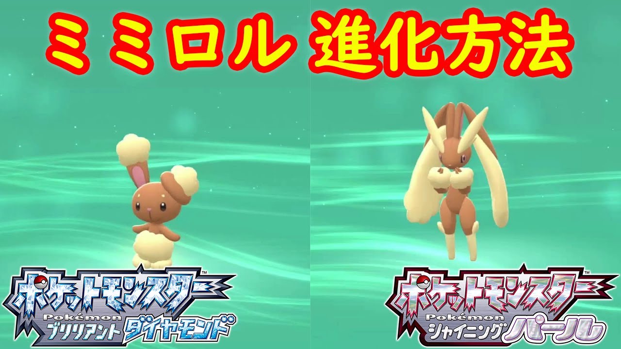 【ミミロル → ミミロップ】特殊進化方法（なつき度） 攻略  【ポケモン ダイパリメイク ポケモン ブリリアントダイヤモンド・シャイニングパール】