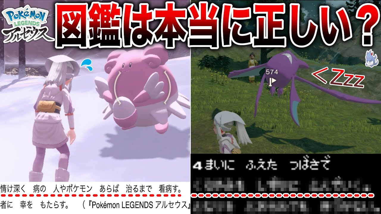 【特殊行動】ポケモンは本当に”図鑑通りの行動”をしてるのか調査！クロバットの斬新な寝方の理由とは！【小ネタ】【レジェンズアルセウス/ポケモンSV】