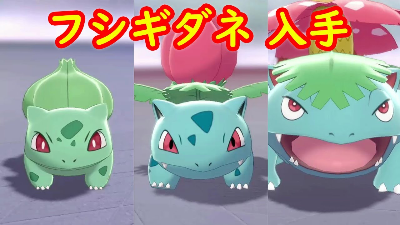 【フシギダネ → フシギソウ → フシギバナ】入手 攻略 + キャンプで遊ぶ【ポケモン剣盾 ポケモンHOME ポケモン ソード シールド 】