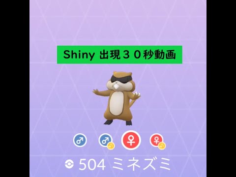 【Pokémon GO】Rarity ”C”＃504 ミネズミ ☆shiny☆#Shorts