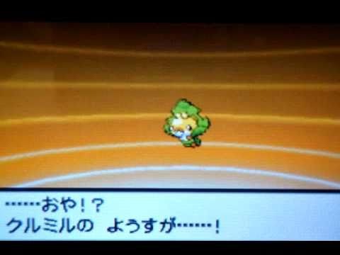 ポケットモンスター ホワイト、 クルミル / クルマユ