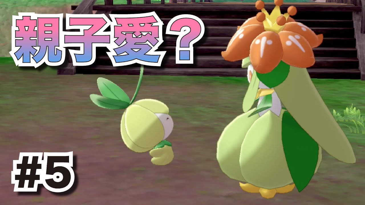 チュリネとドレディアの親子愛？ホップとダイミツ探し！#5【ポケモン剣盾】