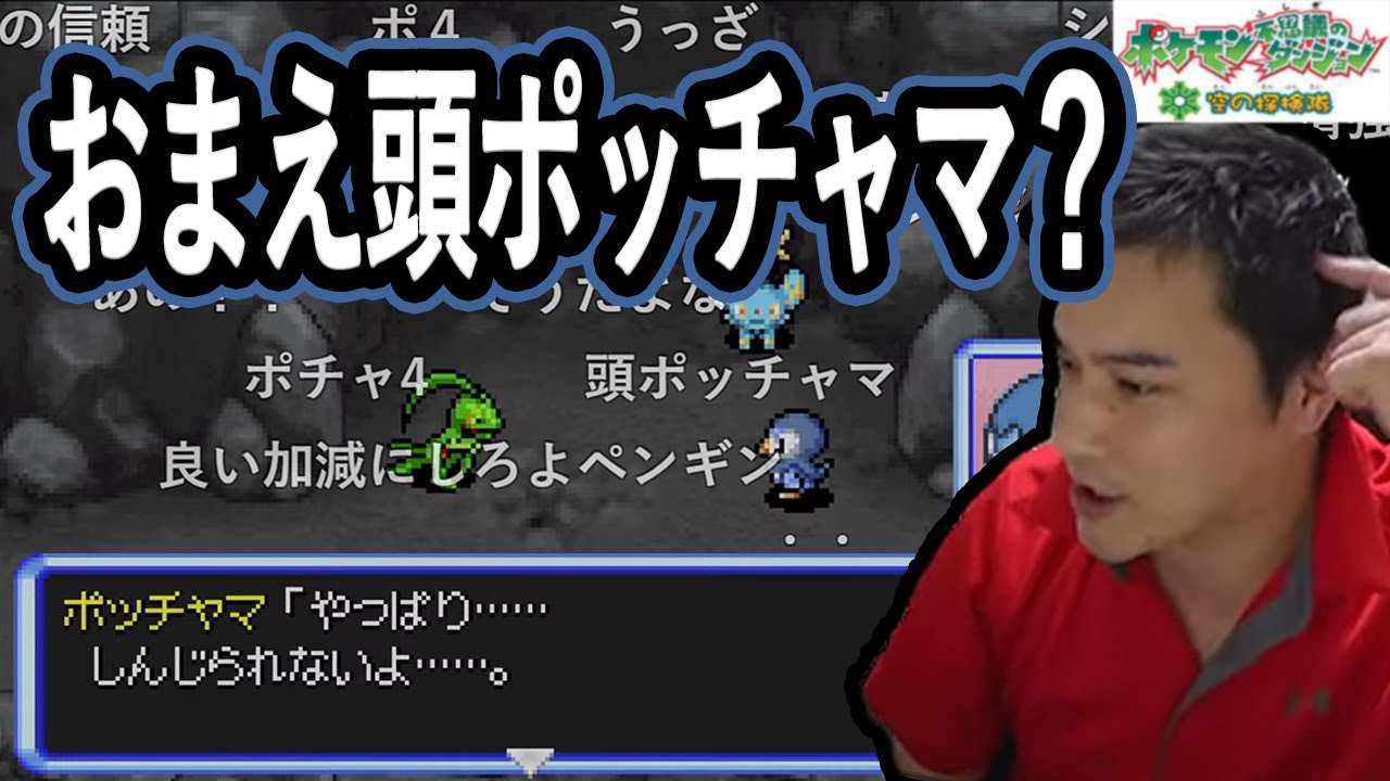 ジュプトルを信用する事が出来ない頭ポッチャマなクソパカペンギン【2021/11/28】