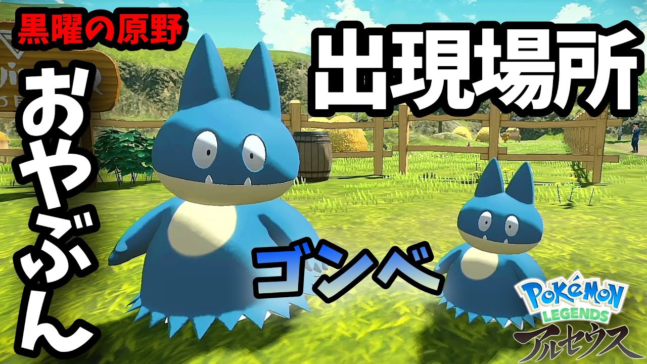 黒曜の原野で低確率で出現のゴンベのオヤブン発見！【ポケモンアルセウス】