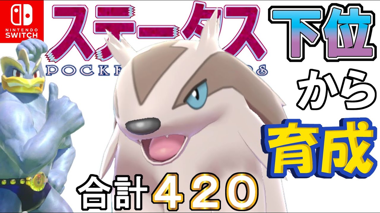 【腹太鼓カムラ型原種マッスグマ】ステータス下位から育成カイリキーといっしょ♡７【ポケモン剣盾】