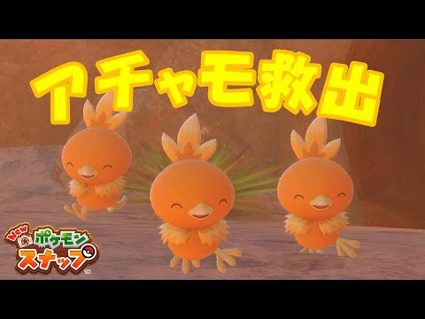 カラリ荒野のアチャモをバルジーナから救出【Newポケモンスナップ/ゆっくり実況】