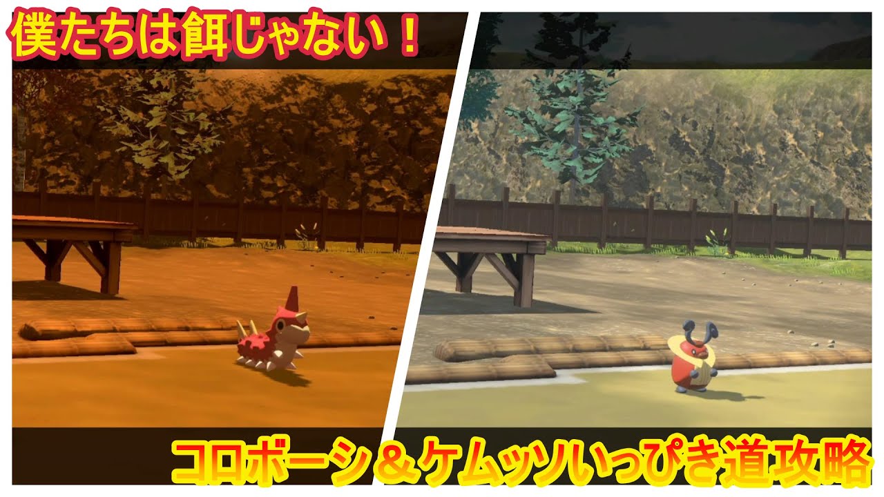 【レジェンズアルセウス】コロボーシ＆ケムッソいっぴき道攻略！