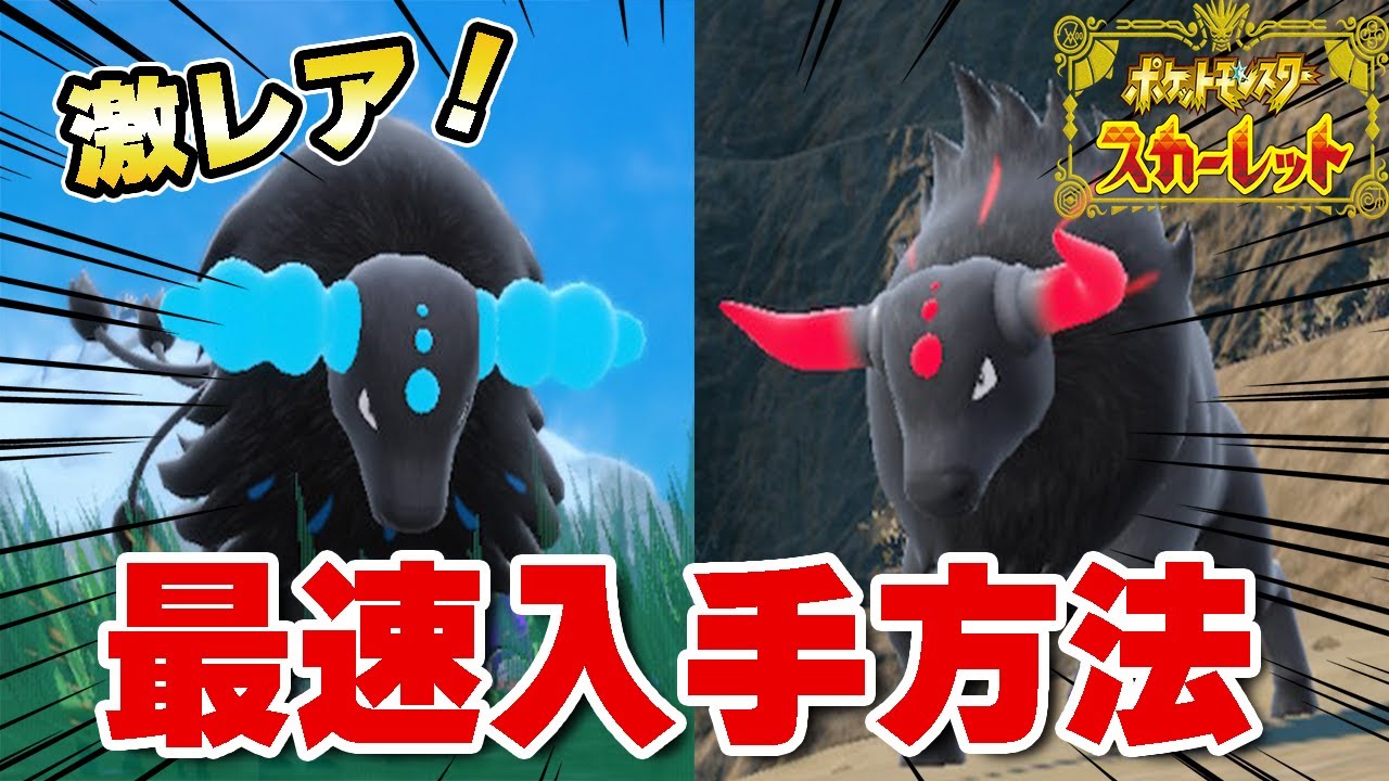 １０分で６体！超激レアなパルデアケンタロスが大量に出現する場所を見つけたｗｗｗ【ポケットモンスターSV】【パルデアケンタロス炎】【パルデアケンタロス水】【出現方法】【入手方法】