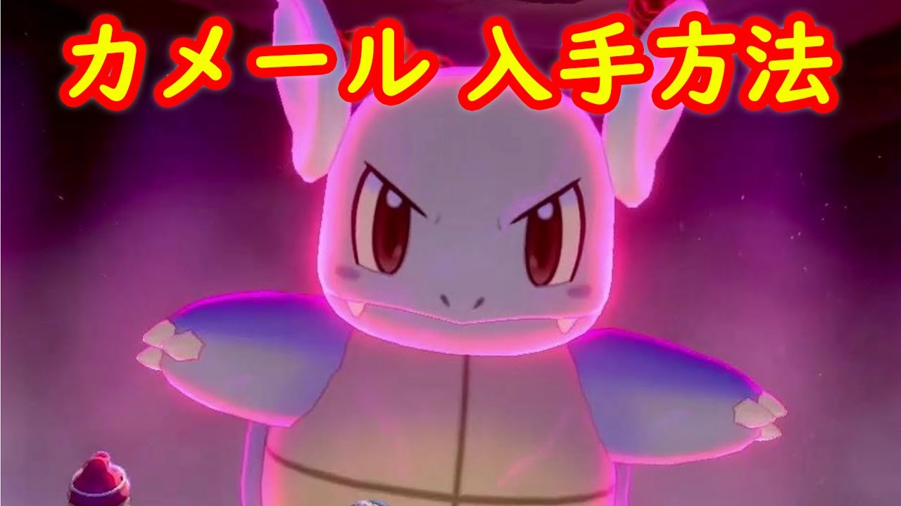【カメール】入手方法 攻略【ポケモン剣盾】