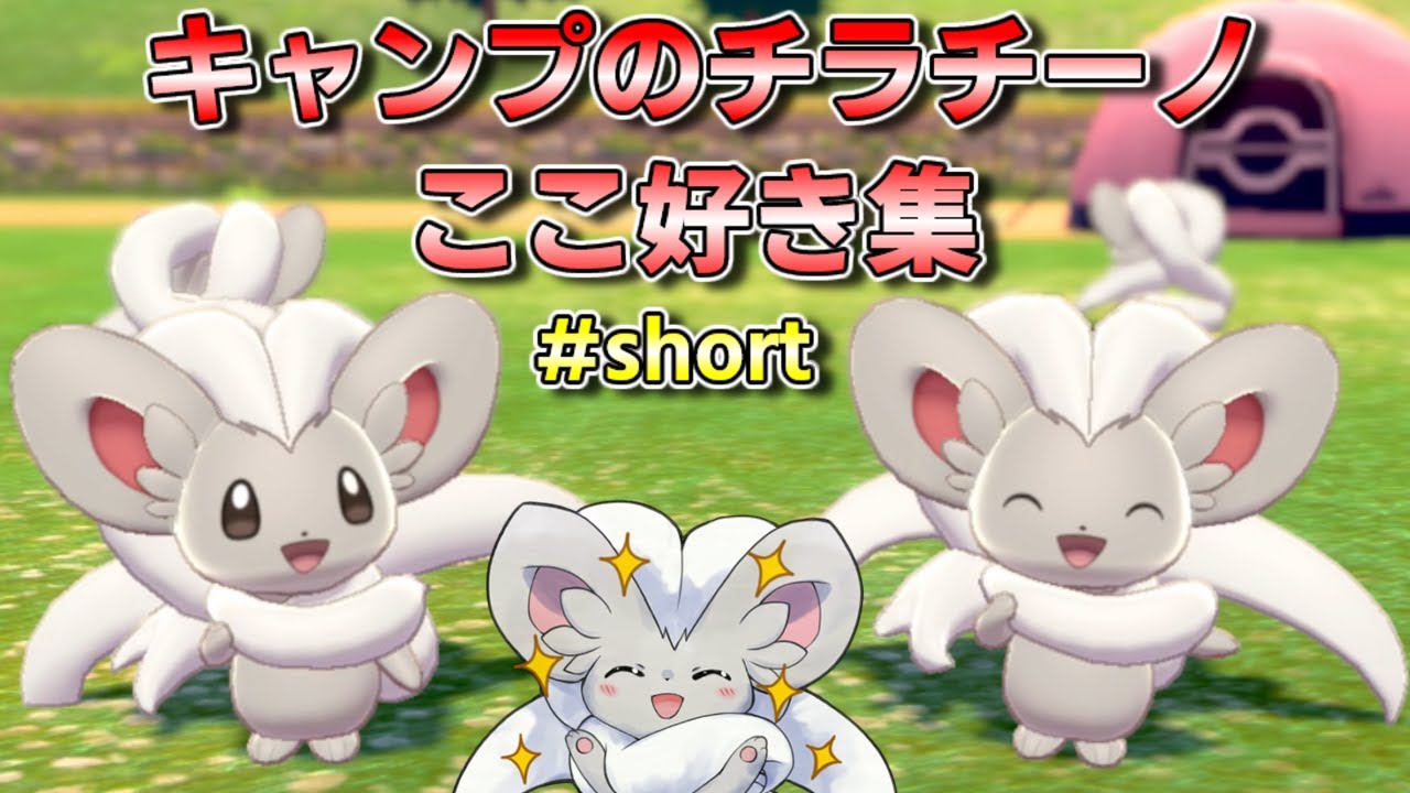 【癒し】キャンプのチラチーノここ好き集 #shorts
