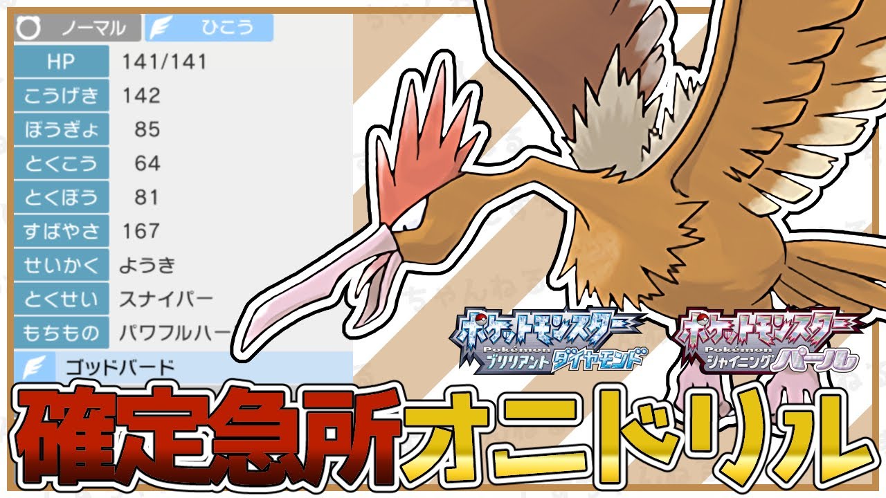 【神鳥】確定急所スナイパー『オニドリル』の火力はどのくらい出るのか！対戦/型紹介【ポケモンBDSP】【対人戦】【No.17】