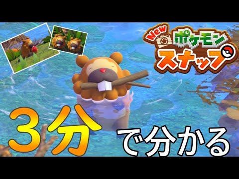 【3分で分かる】ビッパの生態【ポケモンスナップ】