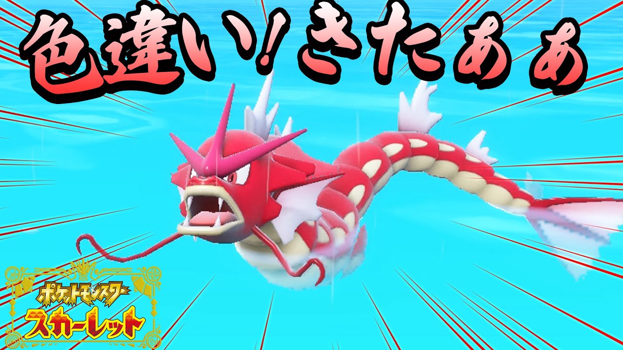 【ポケモンSV】色違いギャラドスきたぁぁ！奇跡的な出会いの瞬間をみてくれぇぇぇ!!! part12【ポケットモンスタースカーレット実況 #12】