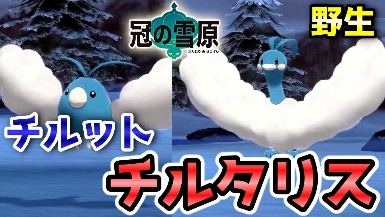 【冠の雪原】『チルット・チルタリス』野生での出現場所・入手方法！進化条件も実況解説【ポケモン剣盾】ニャン速ちゃんねる